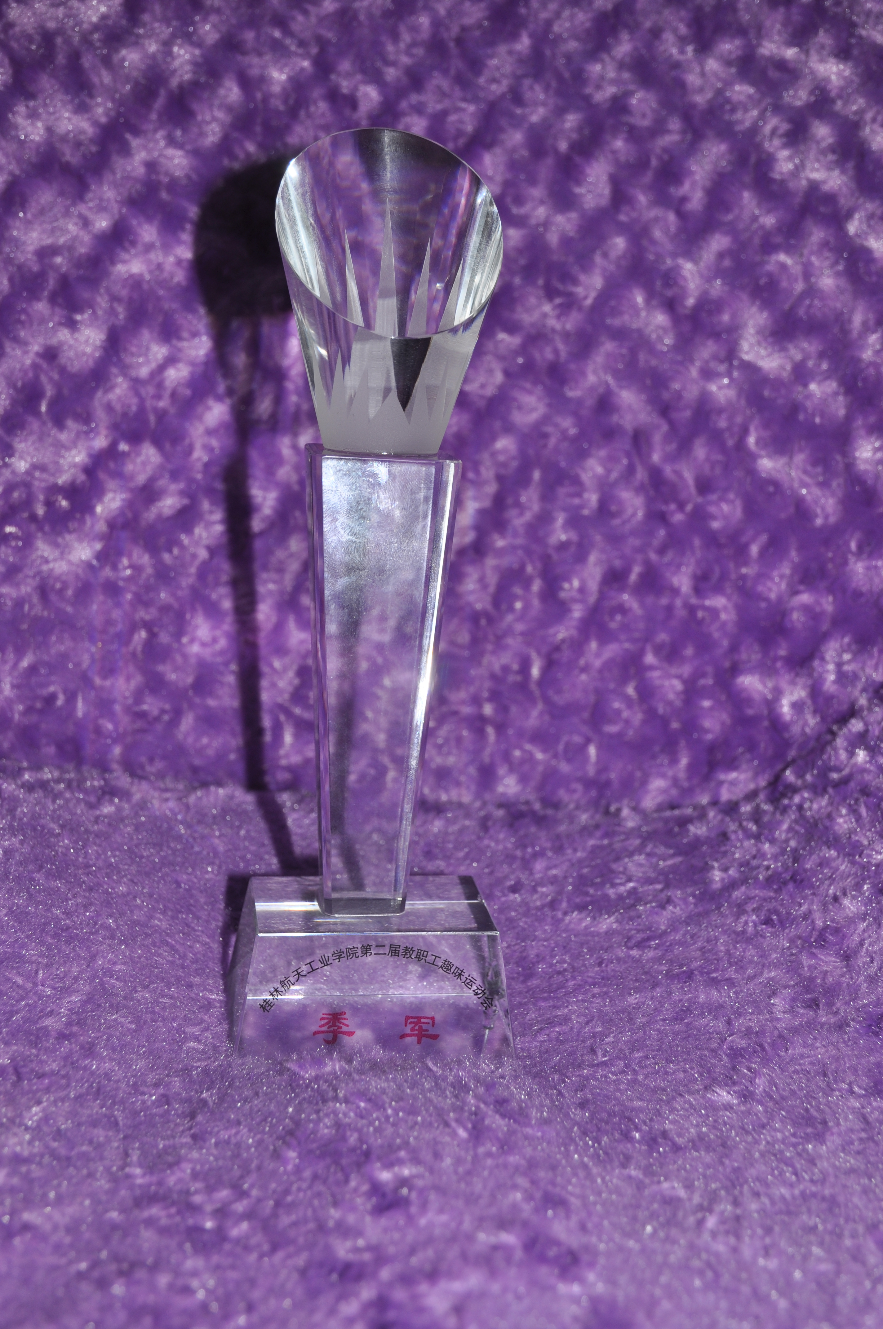 2012-2013�����ϵ�ɹ�����չʾ