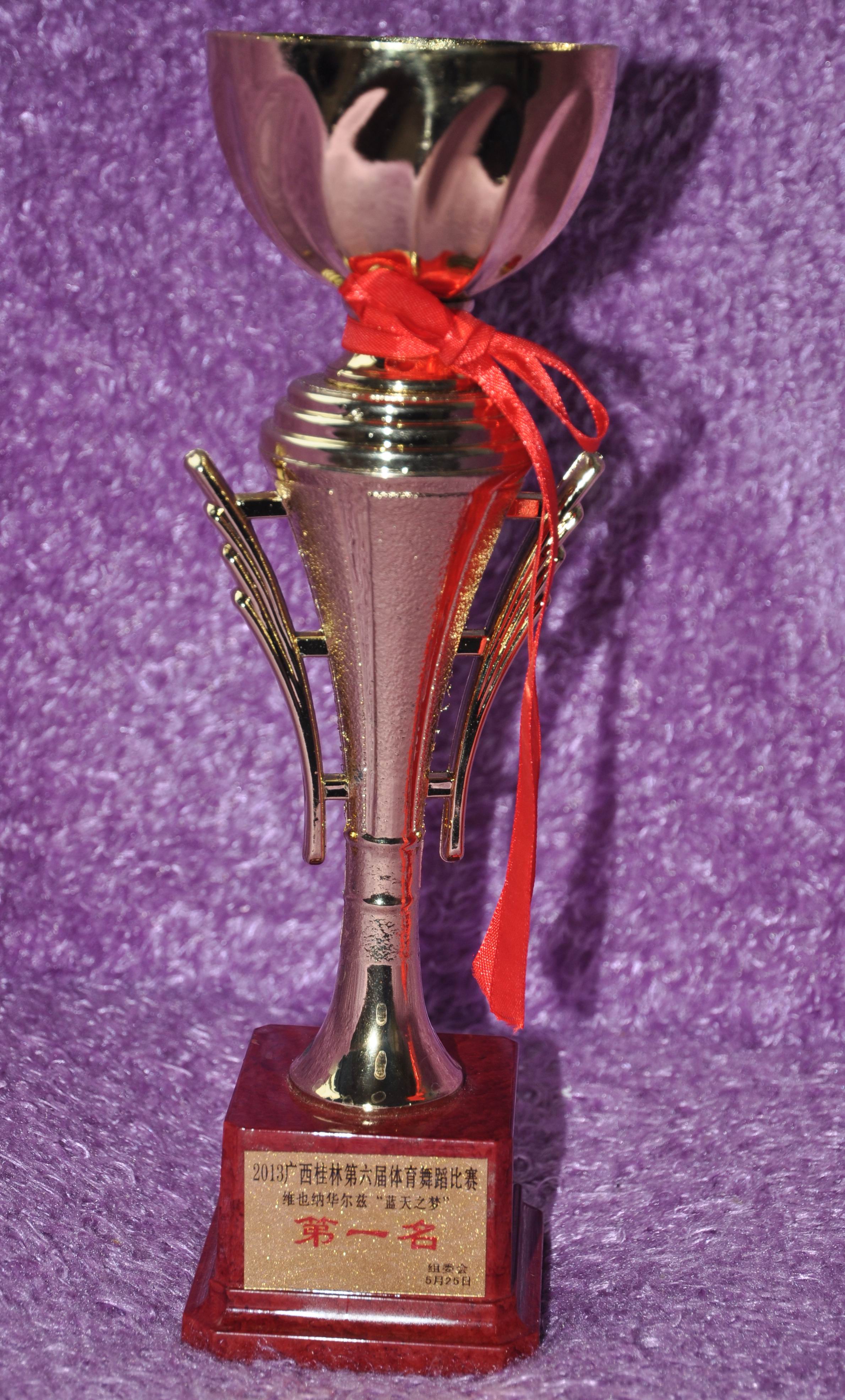 2012-2013�����ϵ�ɹ�����չʾ